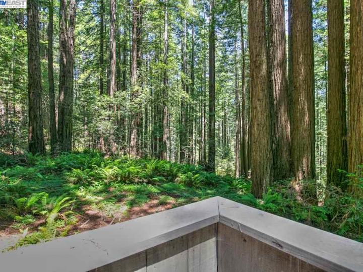 10092 Sorcerer Wood, The Sea Ranch, CA | . Photo 21 of 35