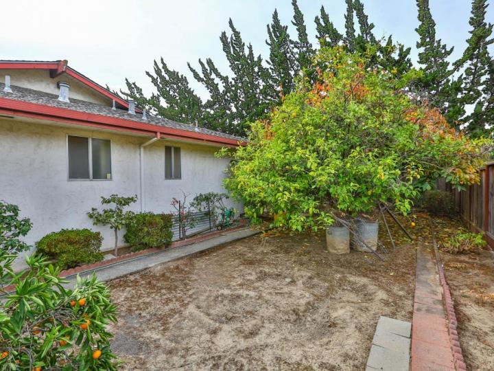 1039 Noble Ave, San Jose, CA | . Photo 20 of 20