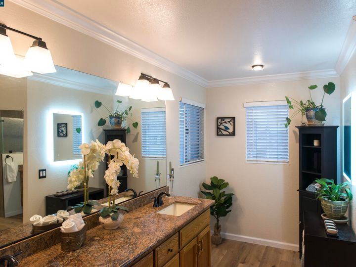 1062 Green Point Ct, Concord, CA | Live Oak. Photo 22 of 29