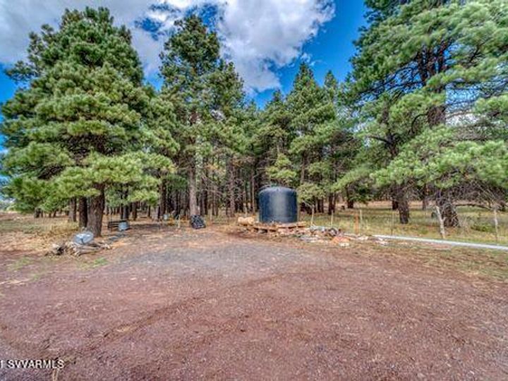 12405 Forest Service 772, Flagstaff, AZ | 5 Acres Or More. Photo 20 of 55