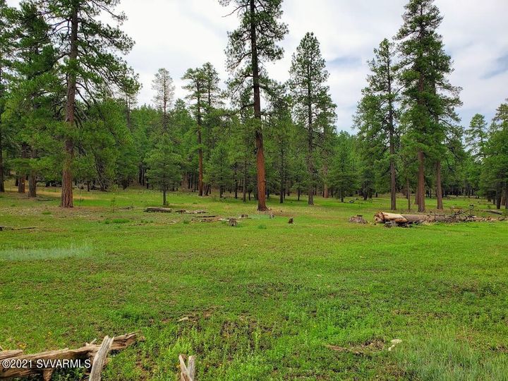 12405 Forest Service 772, Flagstaff, AZ | 5 Acres Or More. Photo 25 of 55