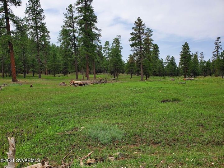 12405 Forest Service 772, Flagstaff, AZ | 5 Acres Or More. Photo 26 of 55
