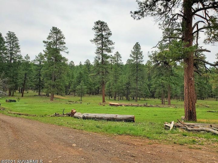 12405 Forest Service 772, Flagstaff, AZ | 5 Acres Or More. Photo 38 of 55
