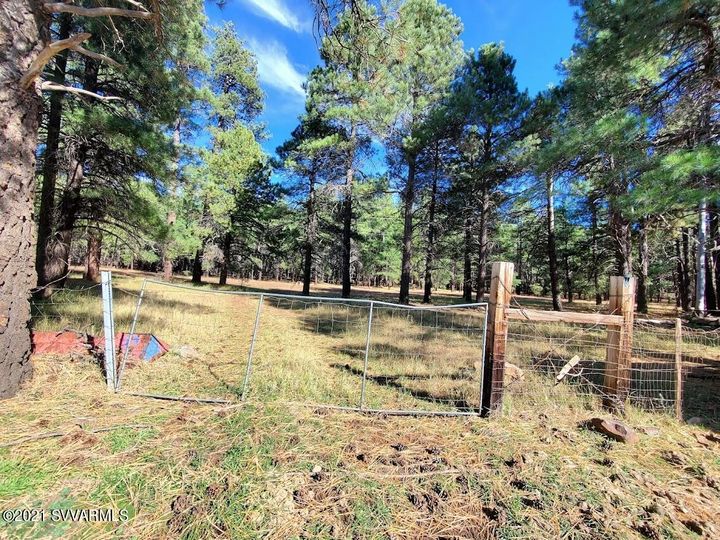 12405 Forest Service 772, Flagstaff, AZ | 5 Acres Or More. Photo 48 of 55