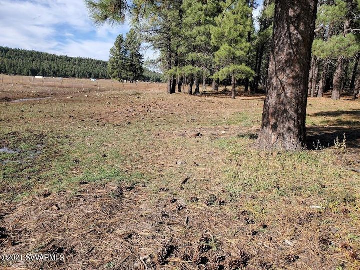12405 Forest Service 772, Flagstaff, AZ | 5 Acres Or More. Photo 55 of 55