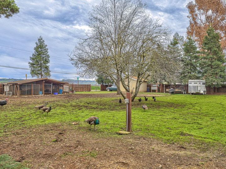 2040 Pacheco Pass Hwy, Gilroy, CA | . Photo 43 of 44