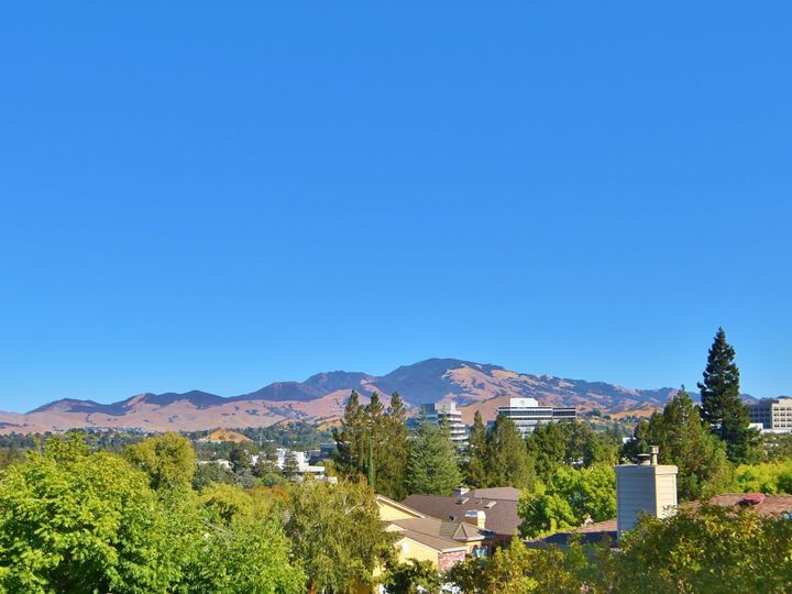 2406 Overlook Dr, Walnut Creek, CA | The Hill. Photo 2 of 35