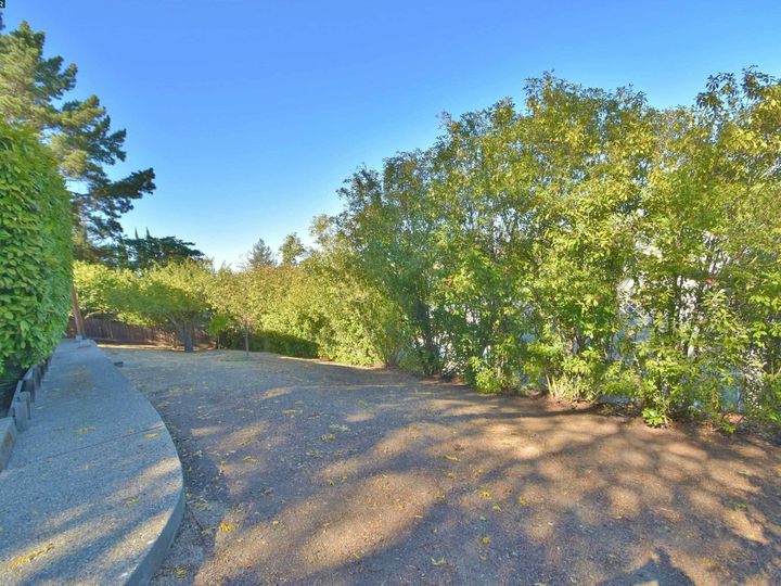 2406 Overlook Dr, Walnut Creek, CA | The Hill. Photo 27 of 35