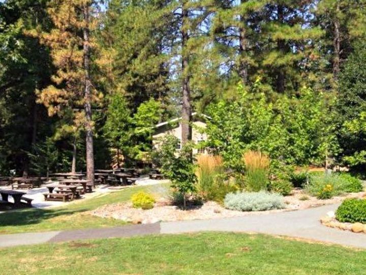 270 Forest Meadows Dr, Murphys, CA | . Photo 27 of 39