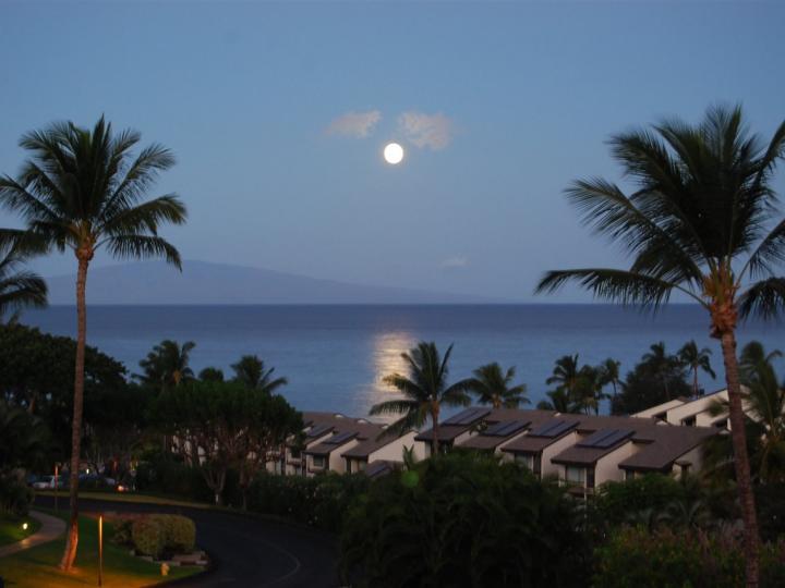 Maui Kamaole condo #J217. Photo 28 of 30