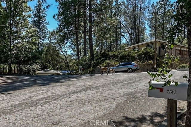 2793 Kenneth Ct, Placerville, CA | . Photo 31 of 33
