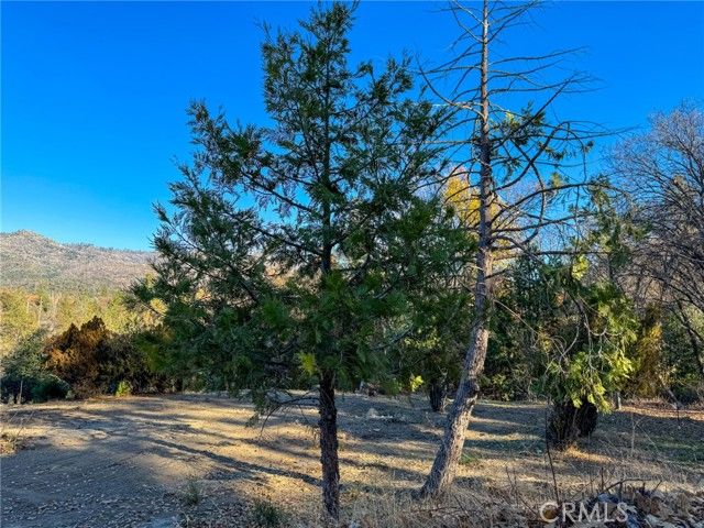 32693 Road 222 North Fork CA. Photo 17 of 22