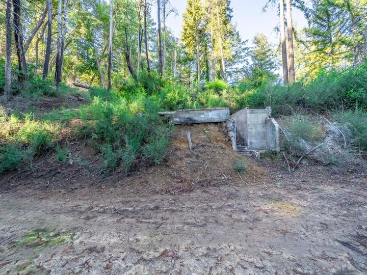 350 Madrone Dr Boulder Creek CA. Photo 10 of 16