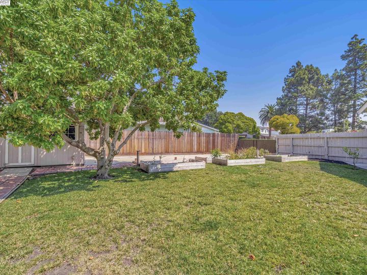 35048 Donegal Ct, Newark, CA | The Lake. Photo 45 of 49