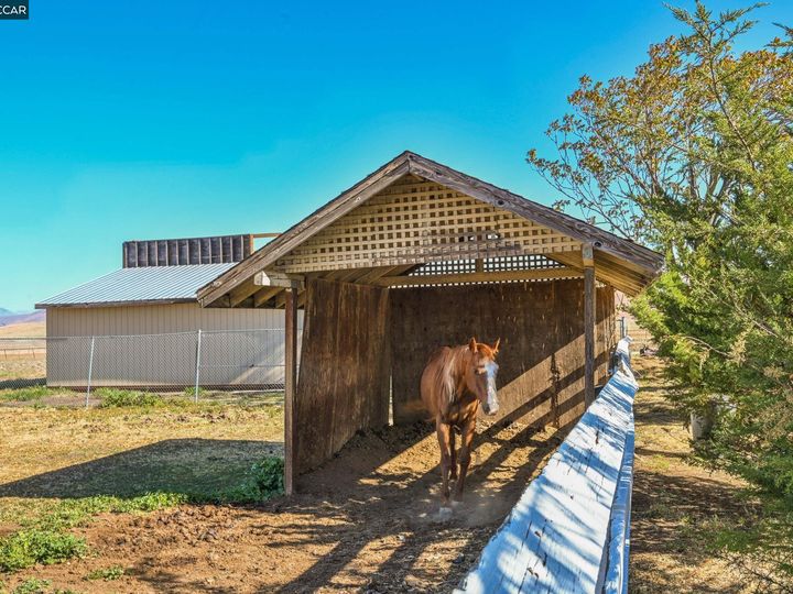 3726 May School Rd, Livermore, CA | North Livermore. Photo 44 of 53