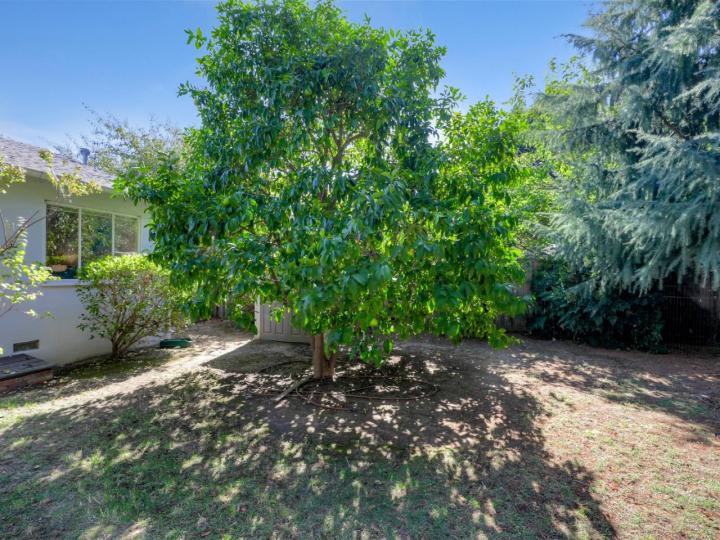 375 Sunberry Dr, Campbell, CA | . Photo 23 of 25