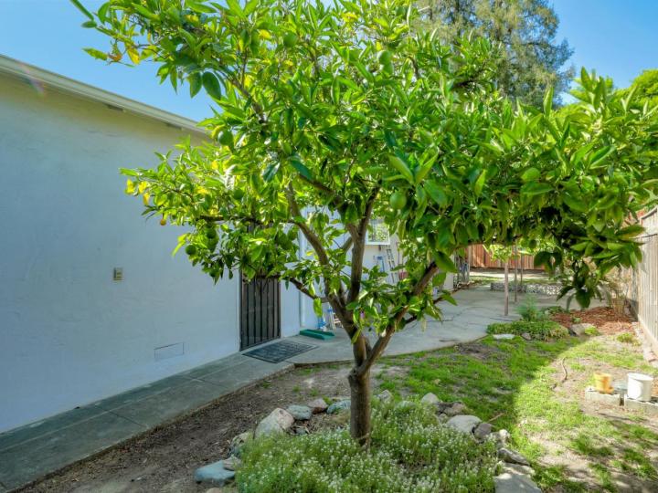 375 Sunberry Dr, Campbell, CA | . Photo 25 of 25