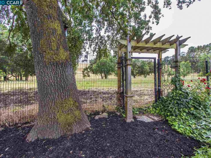 3793 Mosswood Dr, Lafayette, CA | . Photo 23 of 31