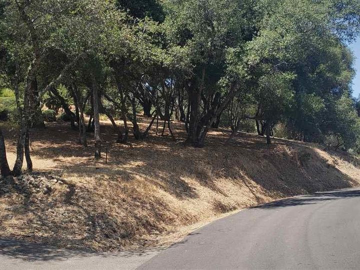 540 Torero Way El Dorado Hills CA. Photo 1 of 5