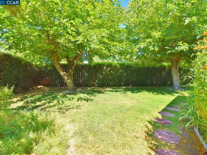 76 Cleopatra Dr, Pleasant Hill, CA | Sherman Acre. Photo 32 of 33