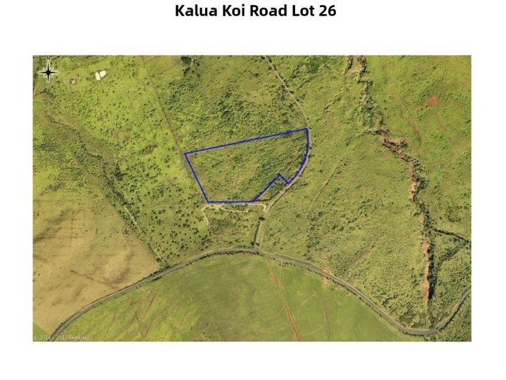 Kalua Koi Rd Maunaloa HI. Photo 1 of 47