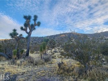 19 Jericho Rd, Yucca Valley, CA