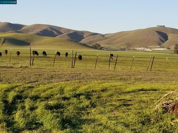 3726 May School Rd, Livermore, CA | North Livermore. Photo 2 of 53