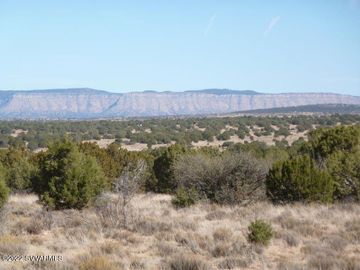 Lot 435 A N Peaceful Hills Rd, 5 Acres Or More, AZ